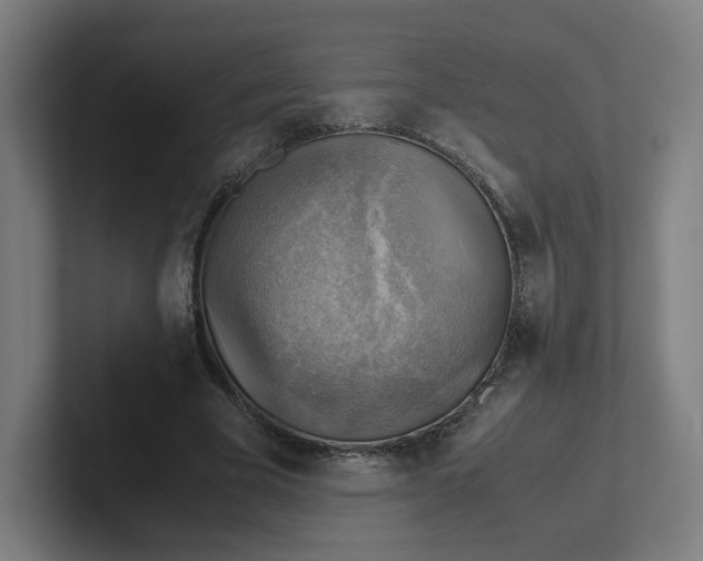 X0000102010585200808011144