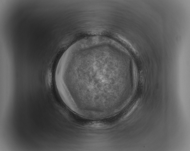 X0000102010589200808011144