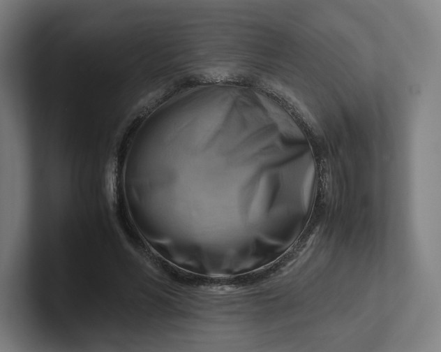 X0000102010590200808011144