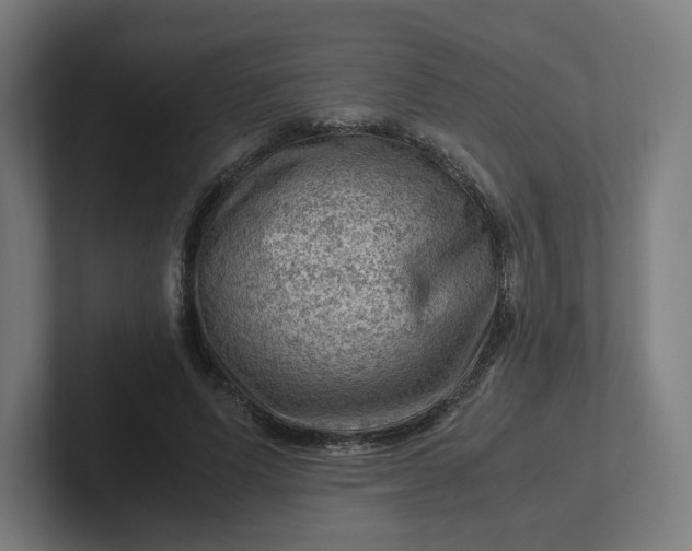 X0000102010591200808011144