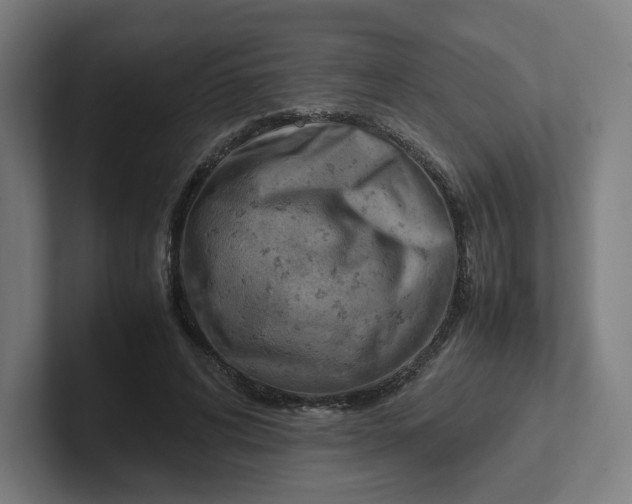 X0000102010592200808011144