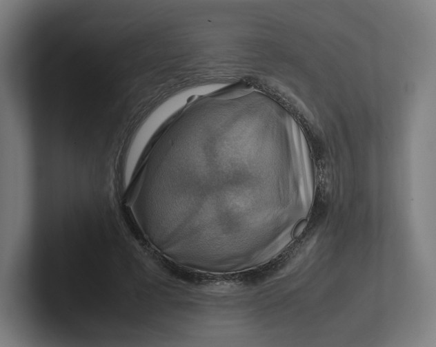 X0000102010593200808011144