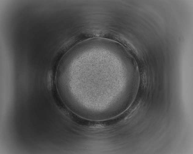 X0000102010594200808011144