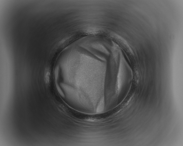 X0000102010596200808011144