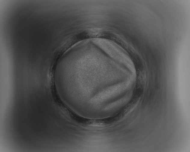 X0000102010601200808011144