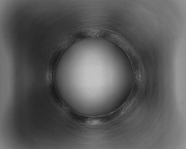 X0000102010602200808011144