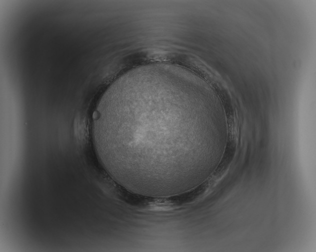 X0000102010603200808011144