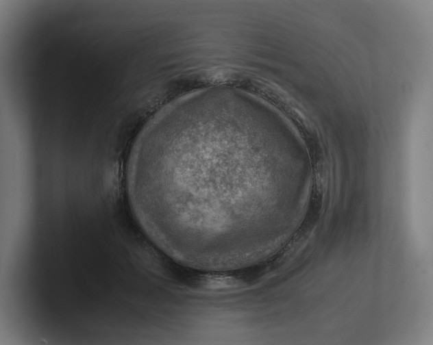 X0000102010605200808011144