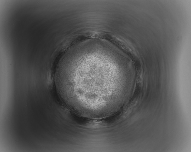 X0000102010607200808011144