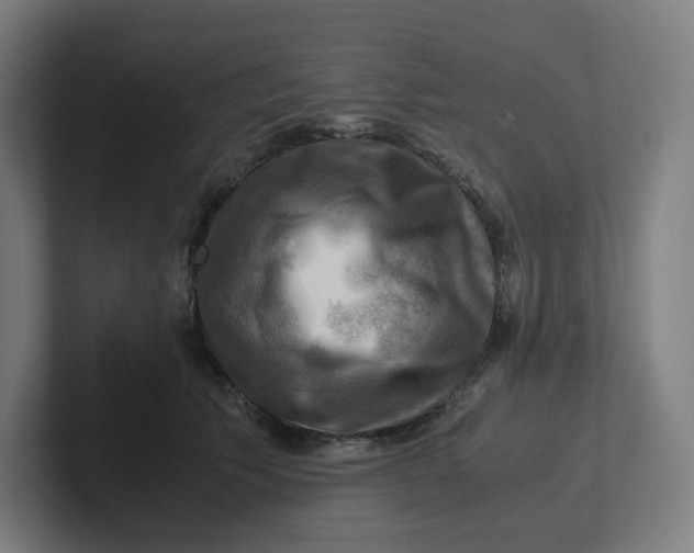 X0000102010609200808011144