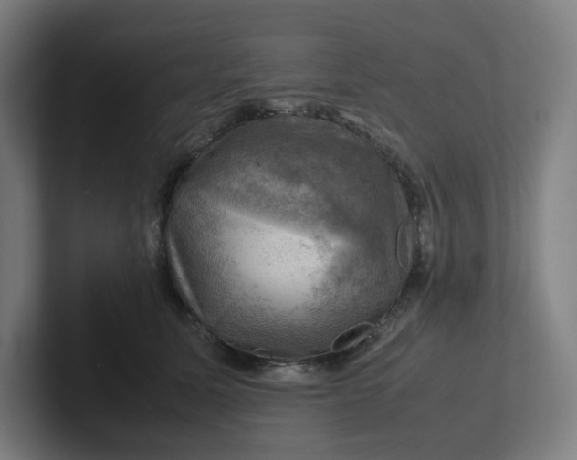 X0000102010611200808011144