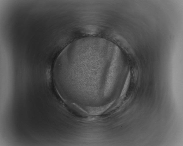 X0000102010612200808011144