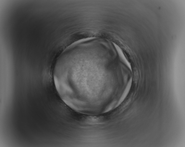 X0000102010613200808011144