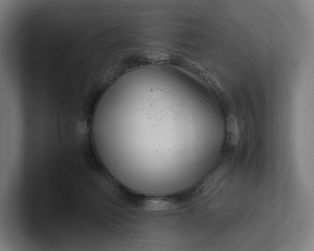 X0000102010614200808011144