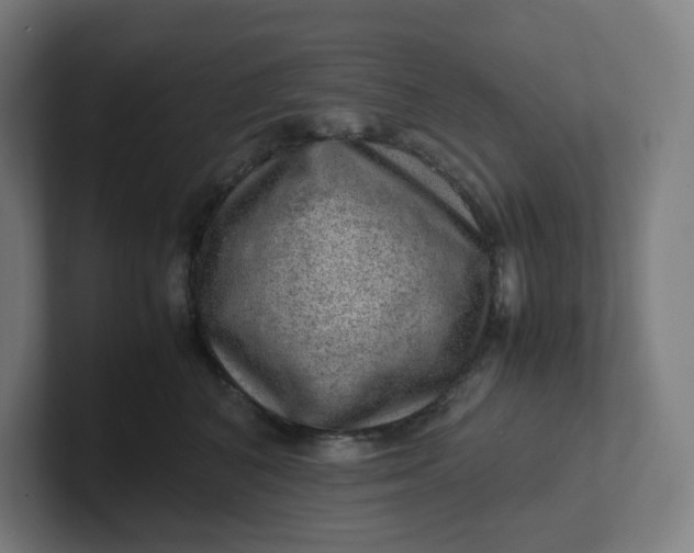 X0000102010616200808011144