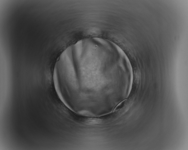 X0000102010617200808011144