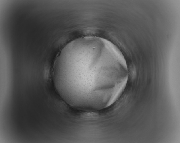 X0000102010619200808011144