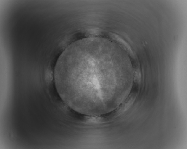 X0000102010621200808011144