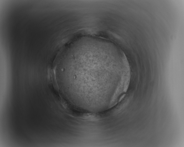 X0000102010624200808011144