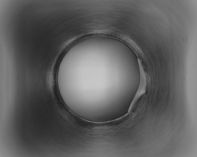 X0000102010628200808011143