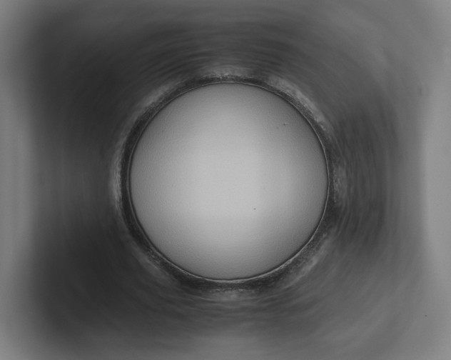 X0000102010629200808011143