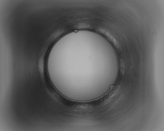 X0000102010631200808011143