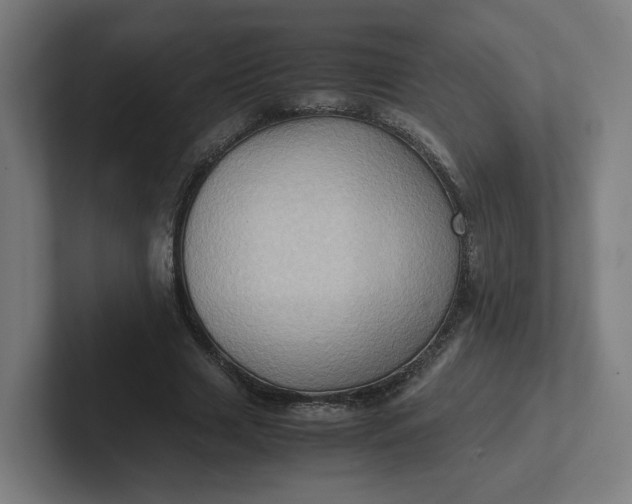 X0000102010633200808011143