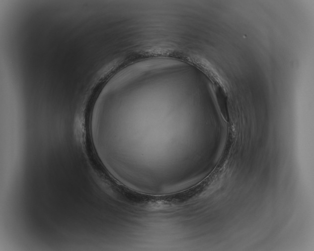 X0000102010634200808011143