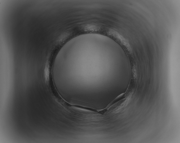 X0000102010637200808011143