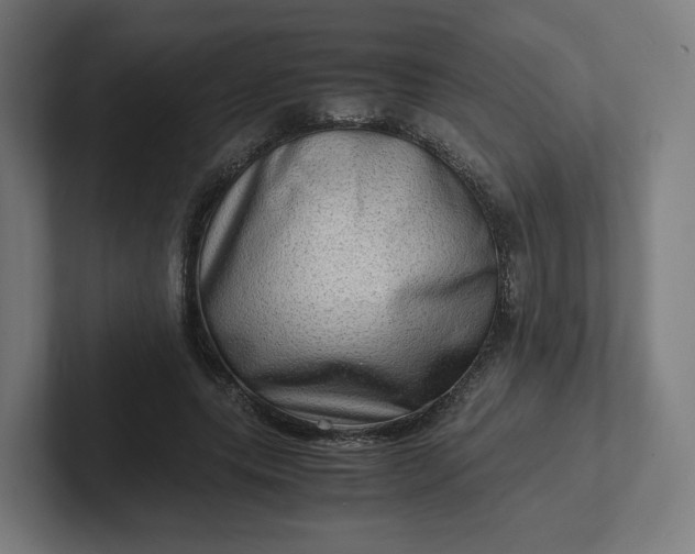 X0000102010639200808011143