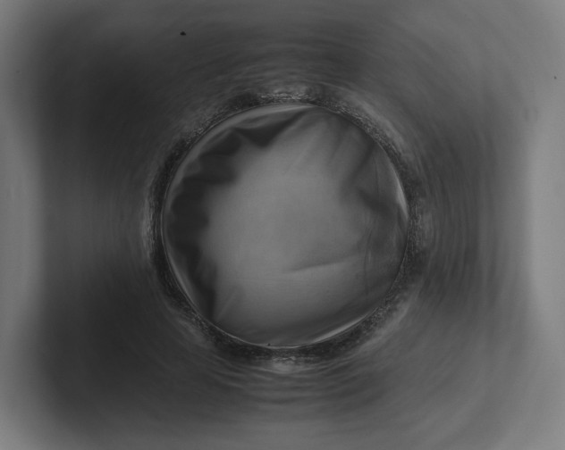 X0000102010641200808011143