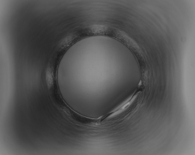 X0000102010644200808011143