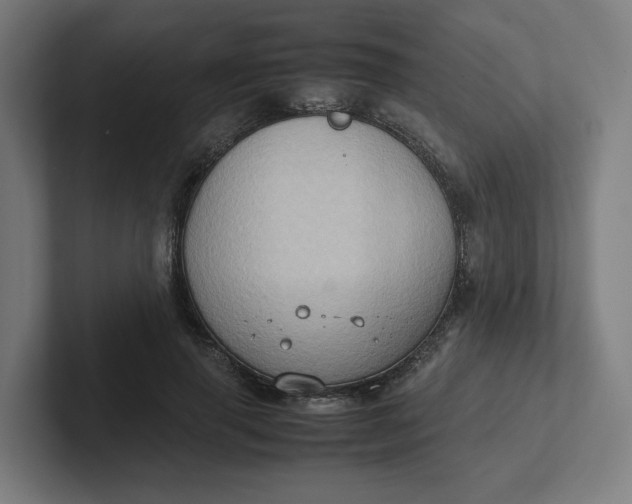 X0000102010645200808011143