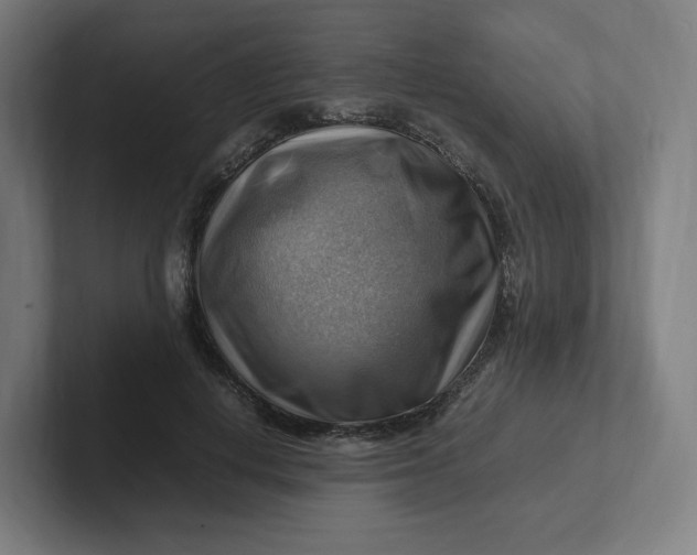 X0000102010648200808011143