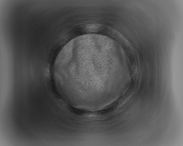 X0000102010655200808011144