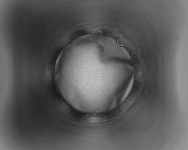 X0000102010658200808011144