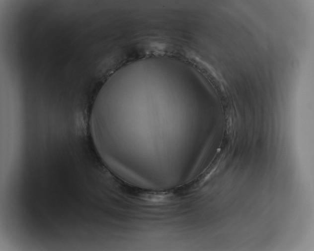 X0000102010661200808011144