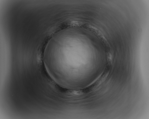 X0000102010663200808011144