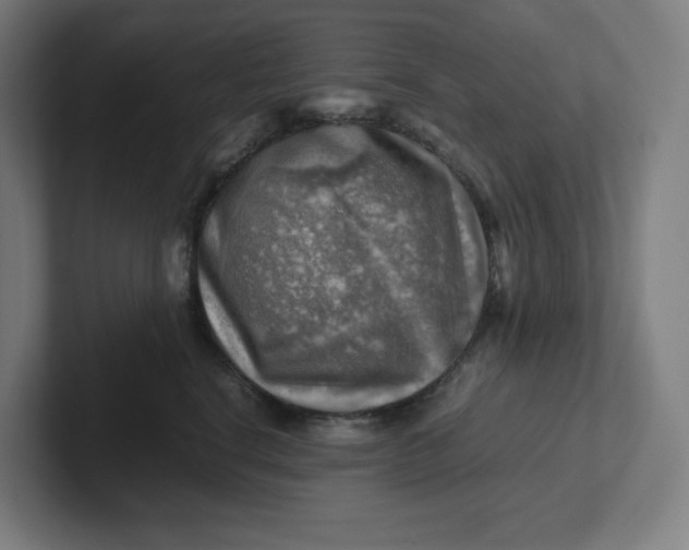 X0000102010664200808011144