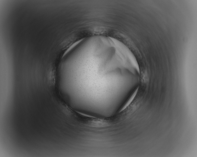 X0000102010666200808011144