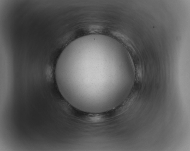 X0000102010667200808011144