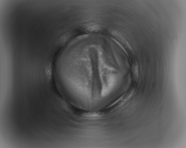 X0000102010668200808011144