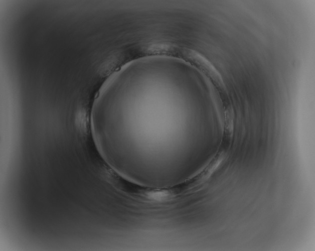 X0000102010669200808011144