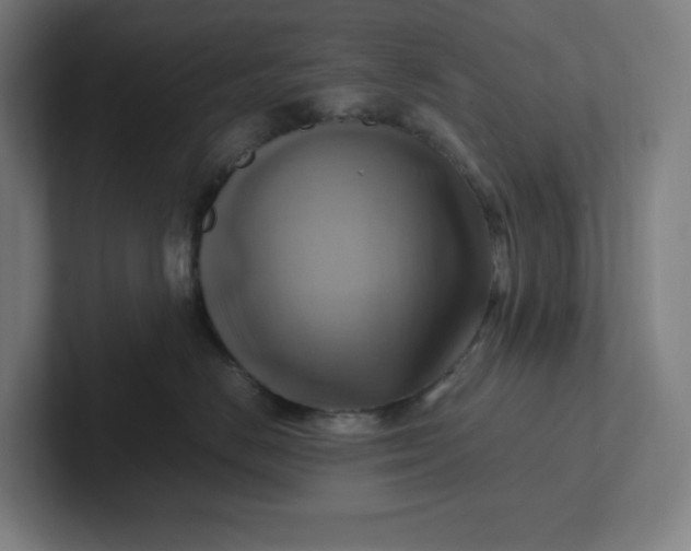 X0000102010670200808011144