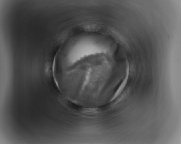 X0000102010671200808011144