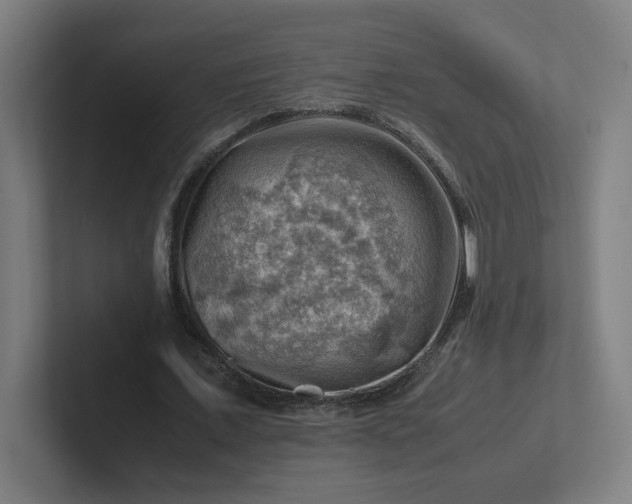 X0000102010675200808011143