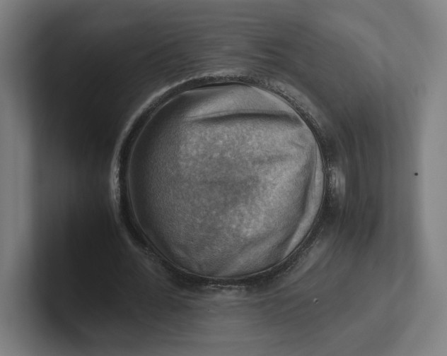 X0000102010676200808011143