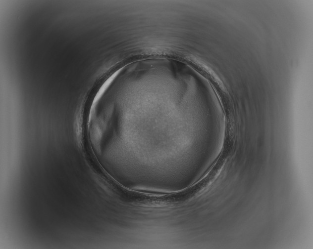 X0000102010677200808011143