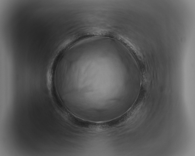 X0000102010679200808011143