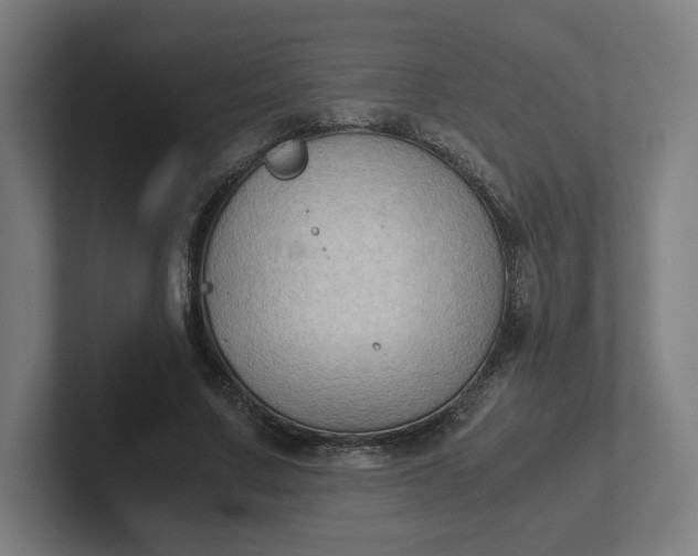 X0000102010683200808011143